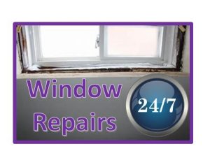 Local Windows Repair Company Waterloo