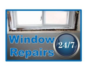 Waterloo Window Service Company 